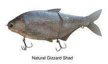 Mondo Shad