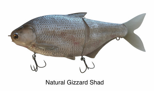 Mondo Shad